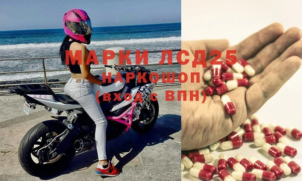 индика Абинск