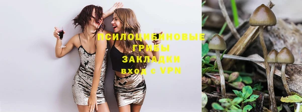 дмт Алексин