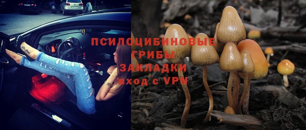 дмт Алексин