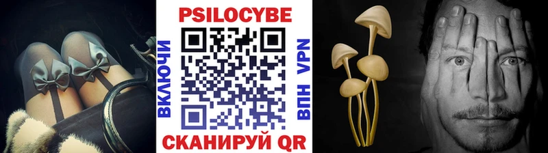 Псилоцибиновые грибы Psilocybe Жигулёвск